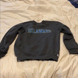 university of Delaware crew neck